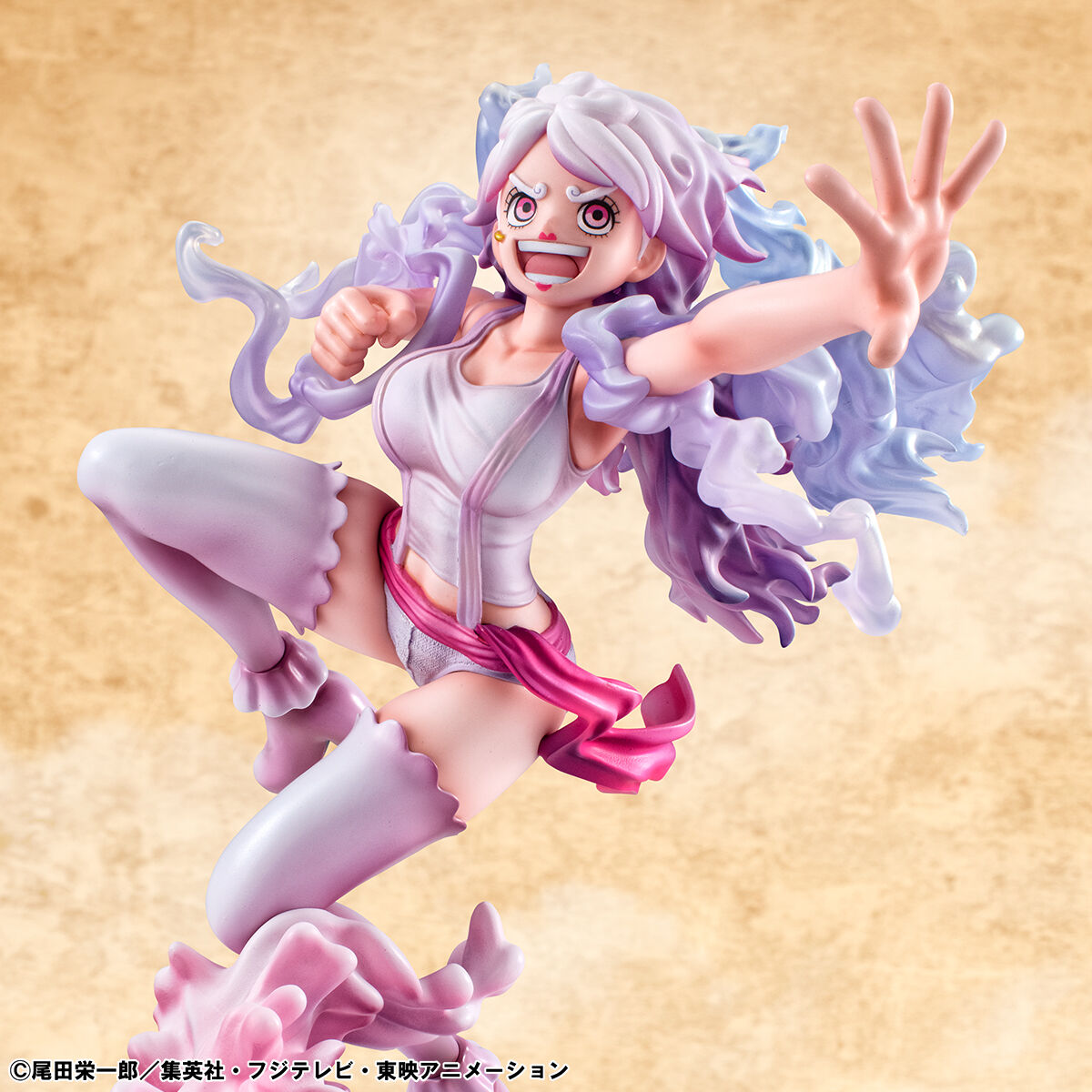 Jewelry Bonney The Freest Future Ver. Evolutionary History Portrait of pirates