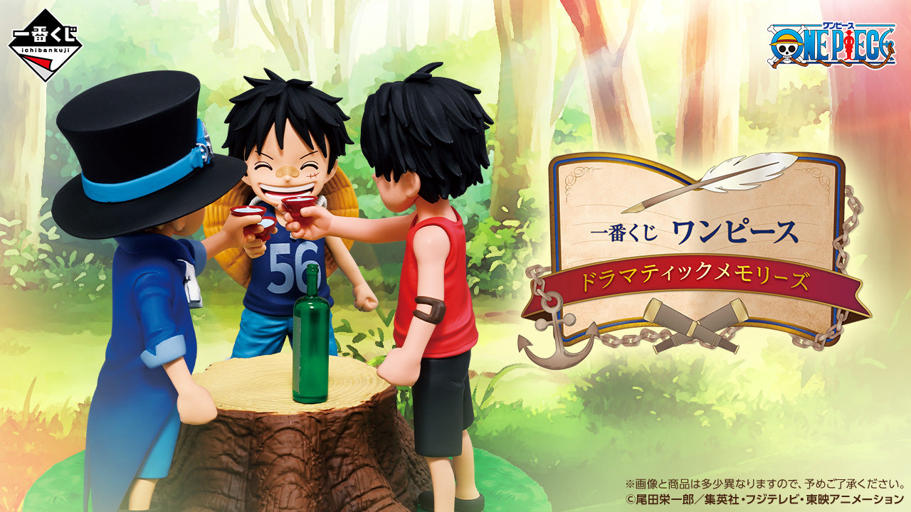 一番くじ　　ONE PIECE THE GIGANT NAME 45cm ONE PIECE THE GIANT NAME Prize D Revible Moment Ichiban Kuji One