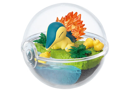 Pokémon Terrarium Collection 3 Re-Ment (Open, Perfect Condition)