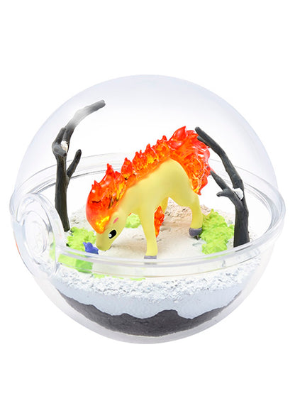 Terrarium Collection 5 Pokémon Re-Ment (Offen, Perfekter Zustand)