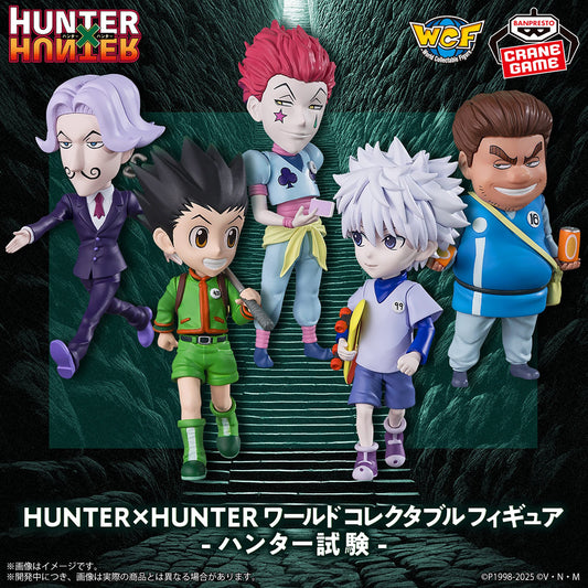 Hunter Exam HUNTER×HUNTER Wcf Banpresto