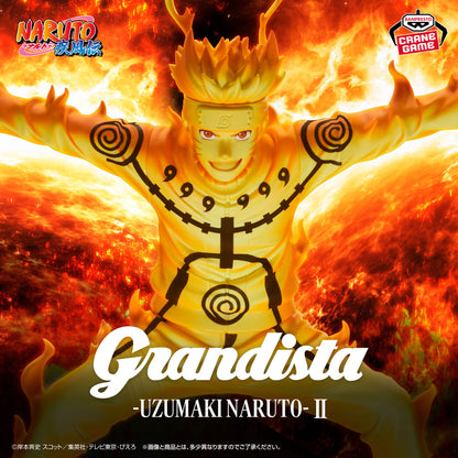 Naruto Uzumaki II Grandista NARUTO Shippuden