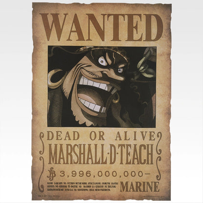Wanted Poster GIANT Vol.1 Premio J Ichiban Kuji One Piece