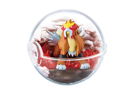 Terrarium Collection 6 Pokemon Re-Ment (Open, Perfect Condition)