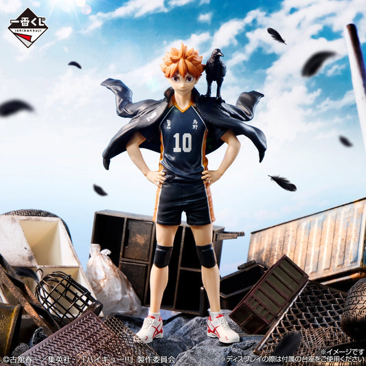 Hinata Shoyo Premio A Ichiban Kuji Haikyuu!!