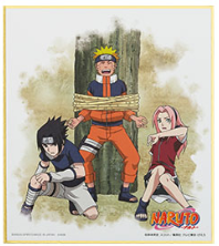 Mini Shikishi premio H Ichiban Kuji Naruto