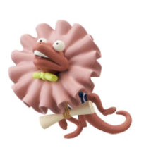 One Piece Wcf ZOO Vol.3 Banpresto
