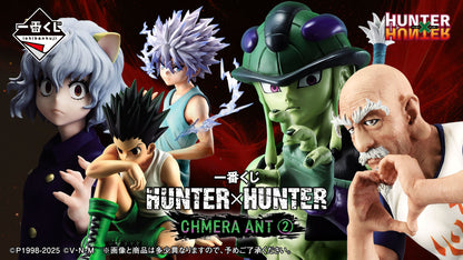 Killua premio D MASTERLISE Ichiban Kuji HUNTER×HUNTER