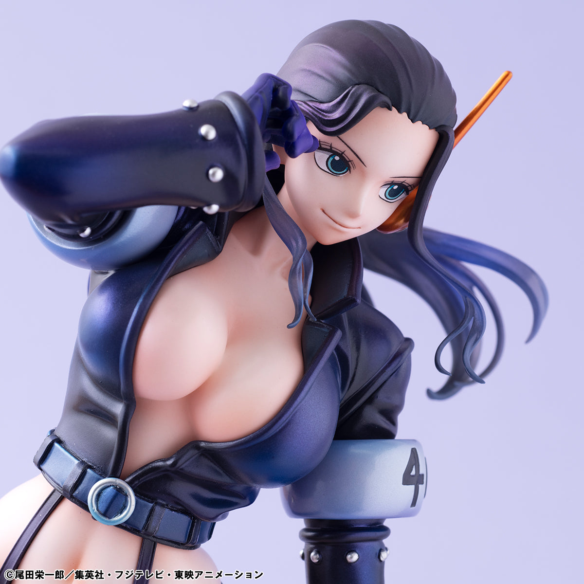 Nico Robin Evolutionary History Portrait of pirates