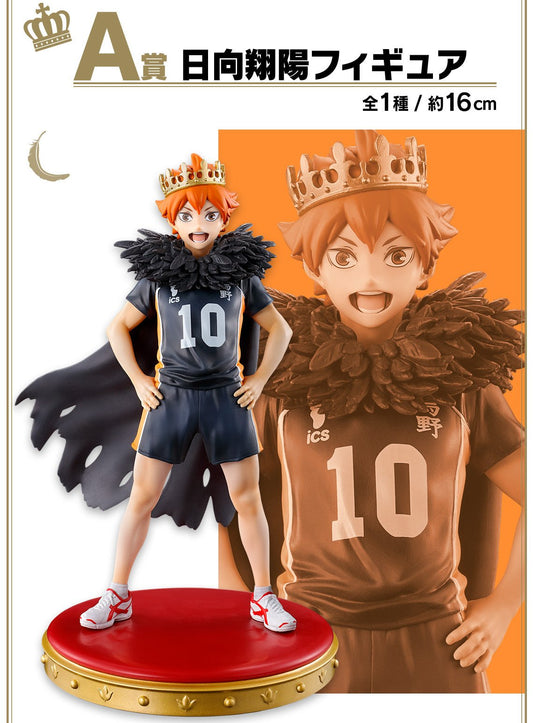 Hinata Shoyo A Ichiban Kuji Haikyuu!!