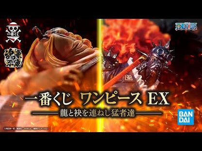 Queen B Ichiban Kuji One Piece