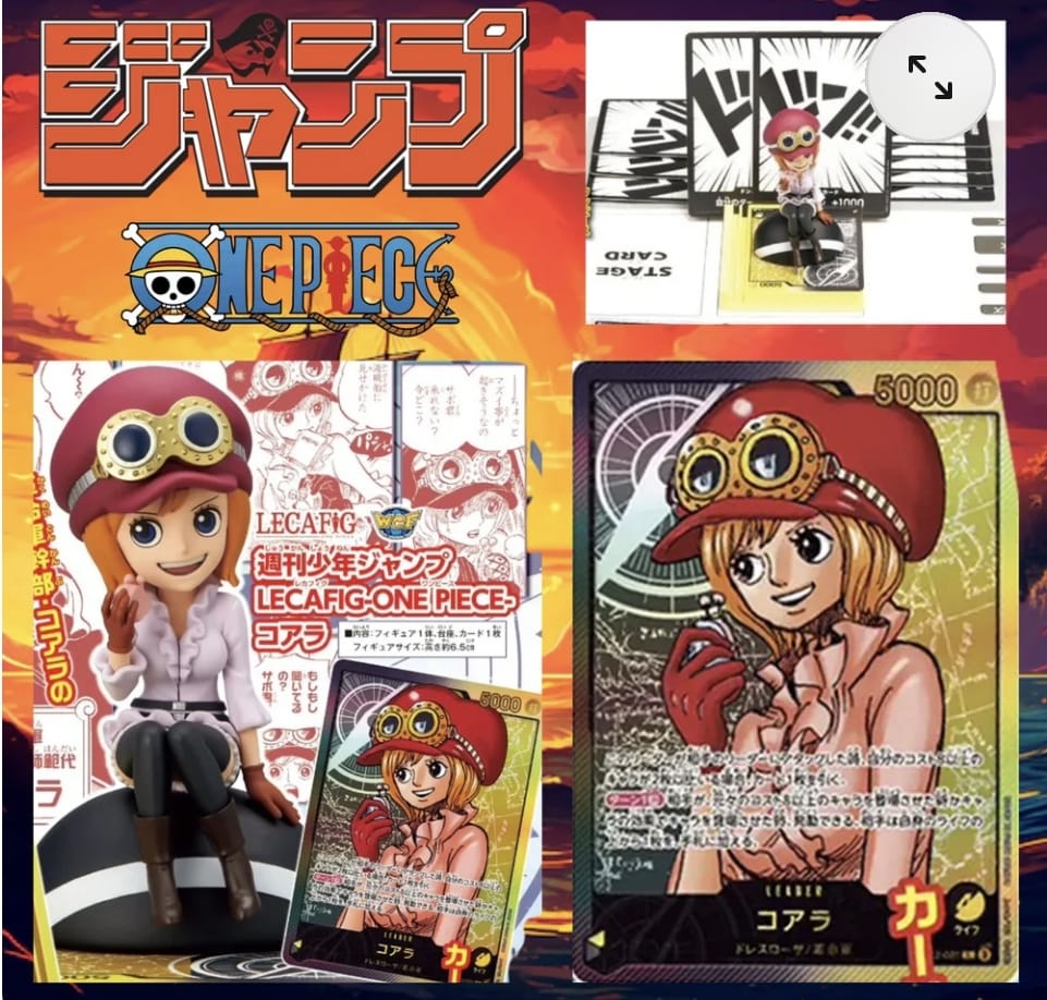 Koala LECAFIG Wcf One Piece